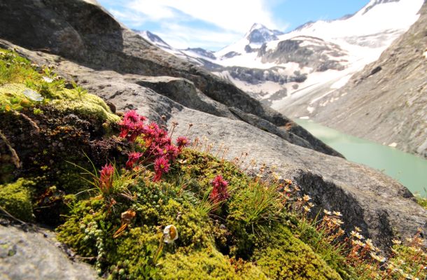 Nationalpark Hohe Tauern